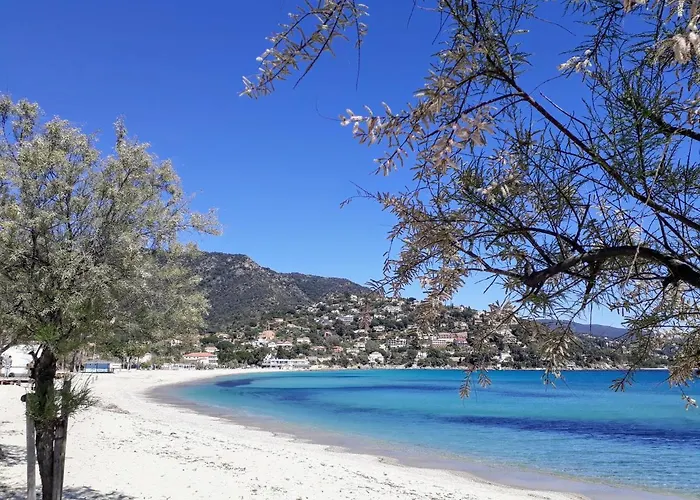 Apartament Duplex - 100m De La De St Clair *